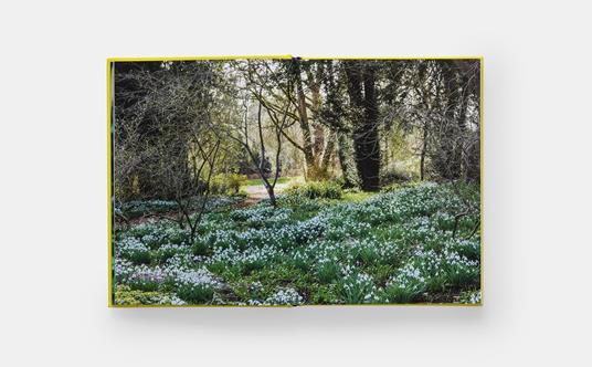 A year in bloom - Lucy Bellamy - 3