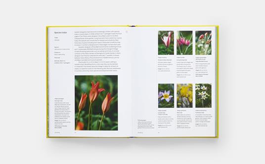 A year in bloom - Lucy Bellamy - 5