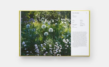 A year in bloom - Lucy Bellamy - 6