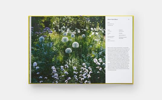 A year in bloom - Lucy Bellamy - 6