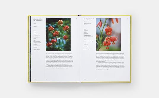 A year in bloom - Lucy Bellamy - 7