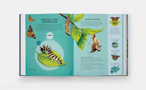 Nature's tiny champions - Ben Lerwill - 4