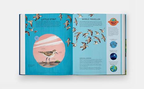 Nature's tiny champions - Ben Lerwill - 5