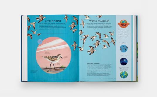 Nature's tiny champions - Ben Lerwill - 5