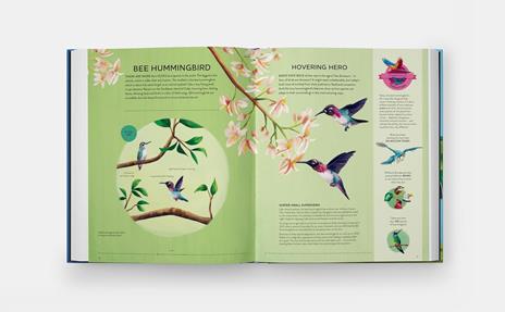 Nature's tiny champions - Ben Lerwill - 6