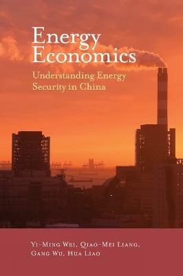 Energy Economics: Understanding Energy Security in China - Yi-Ming Wei,Qiao-Mei Liang,Gang Wu - cover