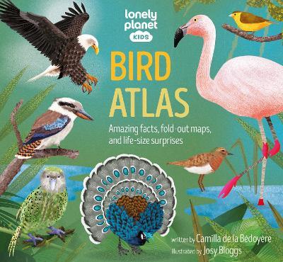 Lonely Planet Kids Bird Atlas - Lonely Planet Kids,Camilla de la Bedoyere - cover
