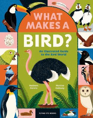 What Makes a Bird?: An Illustrated Guide to the Bird World - Nadeem Perera - cover