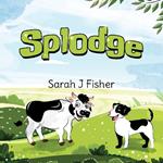 Splodge