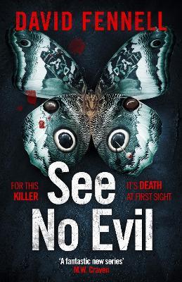 See No Evil: The critically acclaimed, gripping and twisty crime thriller - David Fennell - cover