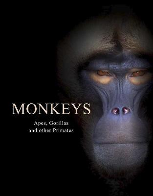 Monkeys: Apes, Gorillas and other Primates - Tom Jackson - cover