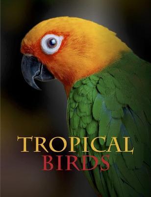 Tropical Birds - Tom Jackson - cover