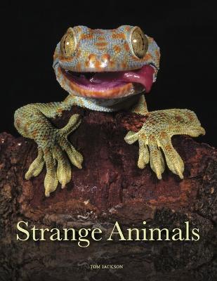 Strange Animals - Tom Jackson - cover