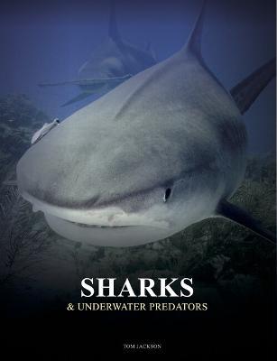 Sharks and Underwater Predators - Tom Jackson - cover