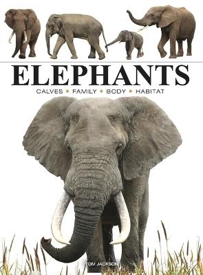 Elephants - Tom Jackson - cover