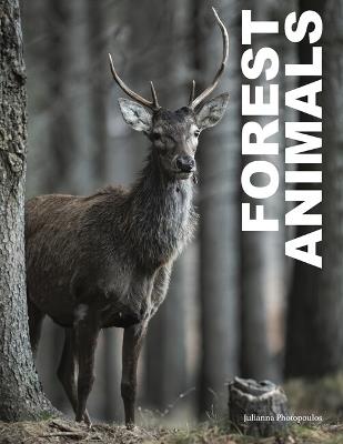 Forest Animals - Julianna Photopoulos - cover