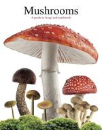 Mushrooms: A guide to fungi and toadstools