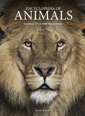 Encyclopedia of Animals - David Alderton - cover