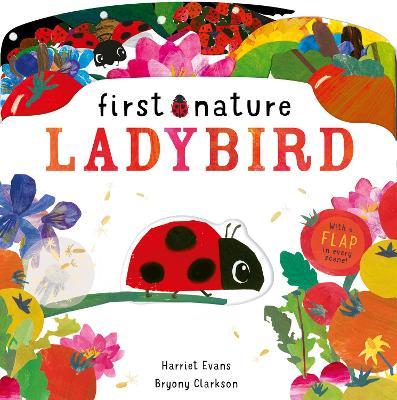 Ladybird - Harriet Evans - cover