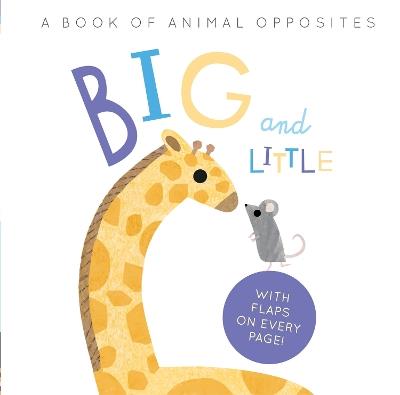 Big and Little: A Book of Animal Opposites - Harriet Evans,Linda Tordoff - cover