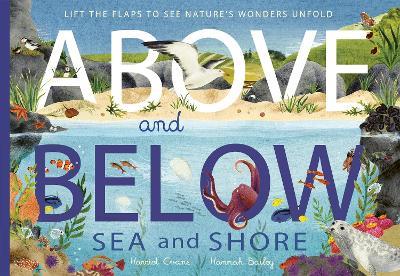 Above and Below: Sea and Shore: Lift the flaps to see nature's wonders unfold - Harriet Evans,Hannah Bailey - cover