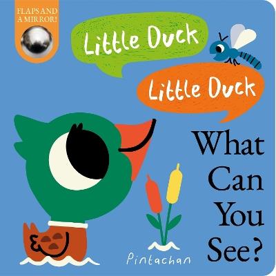 Little Duck! Little Duck! What Can You See? - Kate Ware - cover