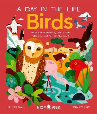 Birds (A Day in the Life): What Do Flamingos, Owls, and Penguins Get Up To All Day? - Alex Bond,Neon Squid - cover