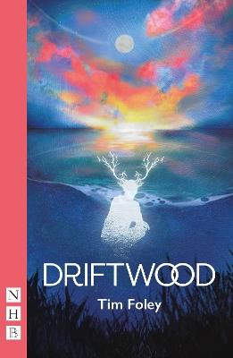 Driftwood - Tim Foley - cover