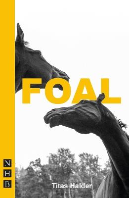 Foal - Titas Halder - cover