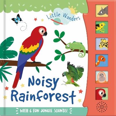 Noisy Rainforest - cover