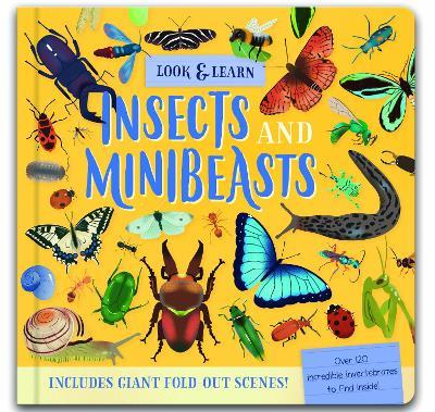 Look & Find: Insects and Minibeasts - Laura Chamberlain - cover