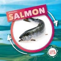 Life Cycle Of A Salmon - Kirsty Holmes - cover