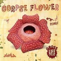 Corpse Flower - William Anthony - cover