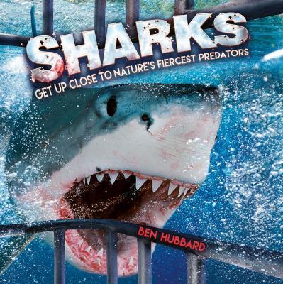 Sharks: Get Up Close to Nature's Fiercest Predators - Ben Hubbard - cover