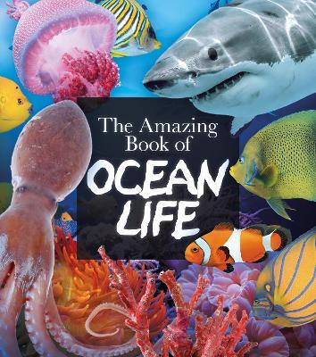 The Amazing Book of Ocean Life - Claudia Martin - cover