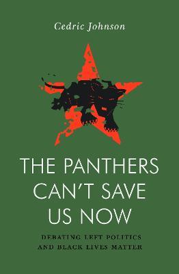The Panthers Can't Save Us Now: Debating Left Politics and Black Lives Matter - Cedric G. Johnson - cover