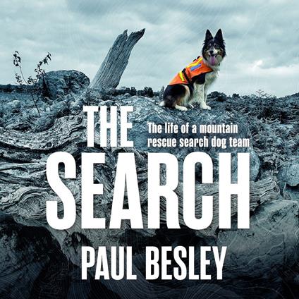 Search, The