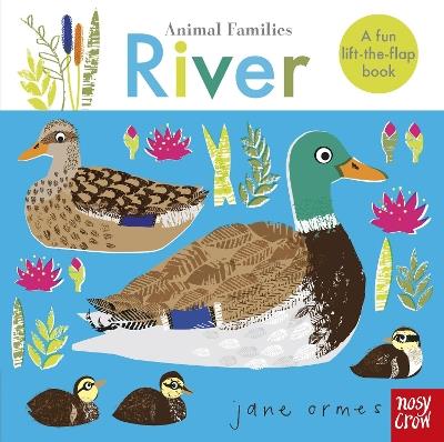 Animal Families: River - cover