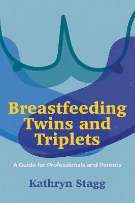 Breastfeeding Twins and Triplets: A Guide for Professionals and Parents - Kathryn Stagg - cover