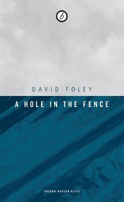 A Hole in the Fence - David Foley - cover