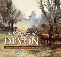 A Picture of Devon - Ray Balkwill - cover