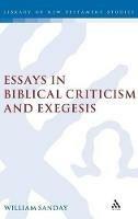Essays in Biblical Criticism and Exegesis - William Sanday - cover