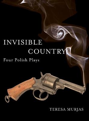 Invisible Country: Four Polish Plays - cover