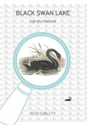 Black Swan Lake: Life of a Wetland - Rod Giblett - cover