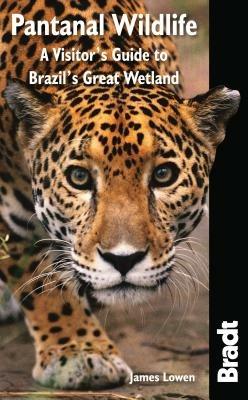 Pantanal Wildlife: A Visitor's Guide to Brazil's Great Wetland - James Lowen - cover
