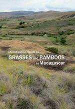 Identification Guide to Grasses and Bamboos in Madagascar