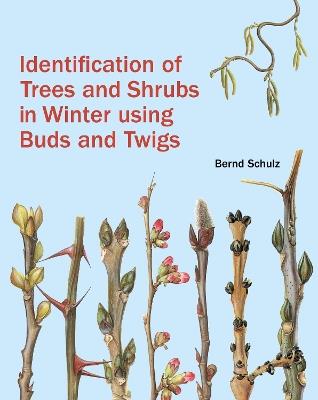 Identification of Trees and Shrubs in Winter Using Buds and Twigs - Bernd Schulz - cover