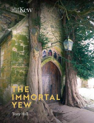Immortal Yew, The - Tony Hall - cover