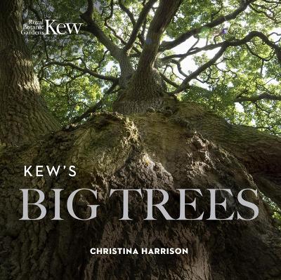 Kew’s Big Trees - Christina Harrison - cover