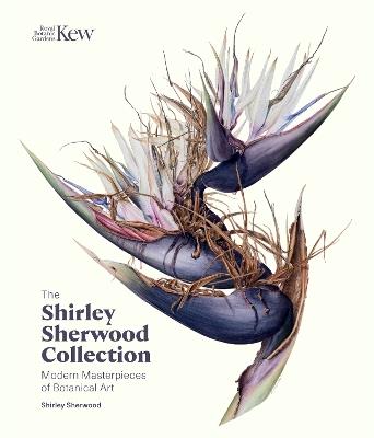 The Shirley Sherwood Collection: Botanical Art Over 30 Years - Shirley Sherwood - cover